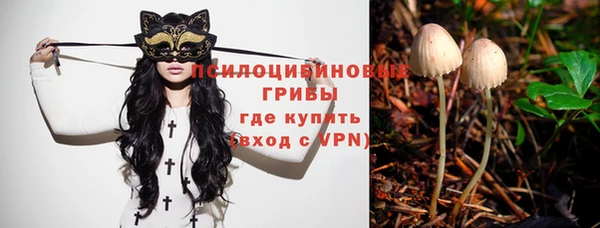 молекула духа Баксан