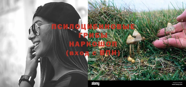 молекула духа Баксан