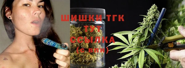 2c-b Тайга