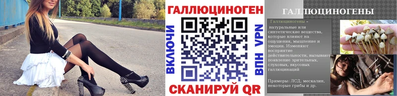 где можно купить наркотик Ликино-Дулёво Псилоцибиновые грибы Psilocybine cubensis