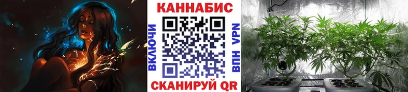 Конопля MAZAR  Ликино-Дулёво 